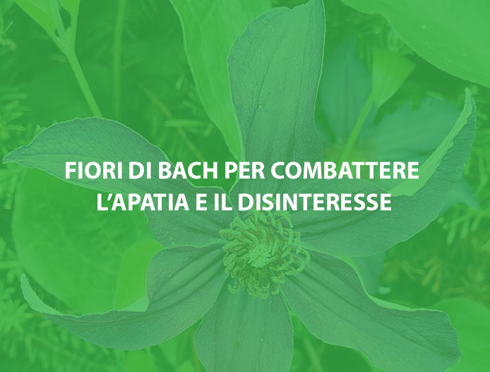 Fiori di Bach per superare apatia e disinteresse