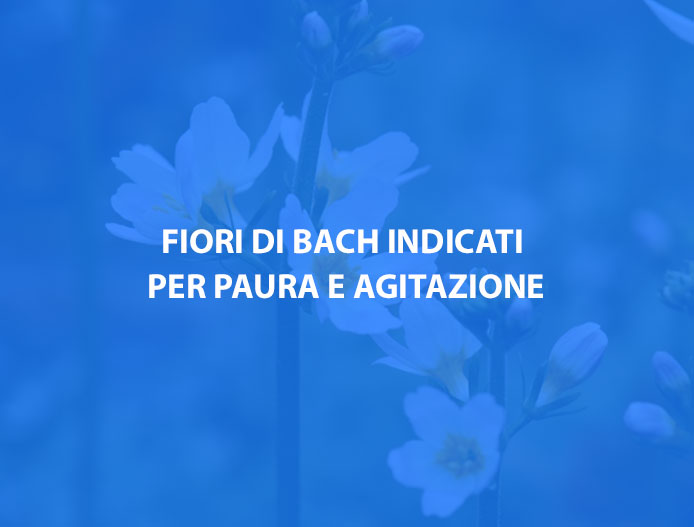 Fiori di Bach indicati per paura e agitazione