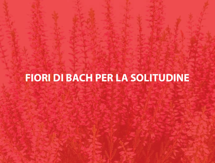 Fiori di Bach per la solitudine