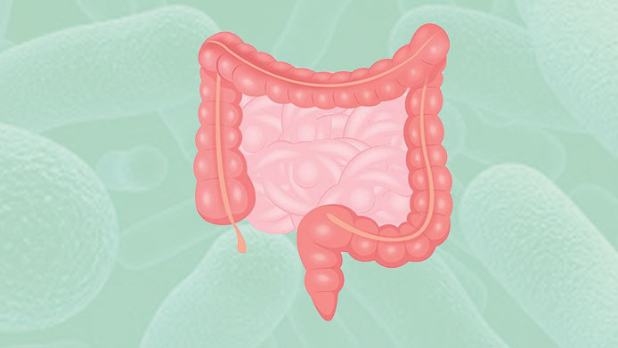 Microbiota intestinale: cosa è, le sue funzioni e come mantenerne l'equilibrio